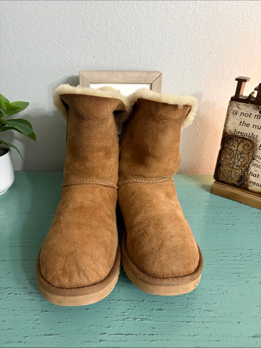 UGG Chestnut Suede Shearling-Lined Classic Short Boots